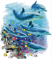 delphin - Bezmaksas animēts GIF