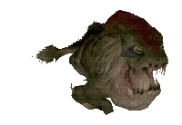 scary fish - Безплатен анимиран GIF