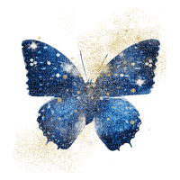 Butterfly - 無料png