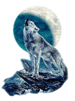 wolf - zdarma png