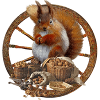 Squirrel Nuts - Bogusia - zdarma png