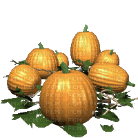 pumpkins_gif_color orange_automne_autumn_halloween___Blue DREAM 70