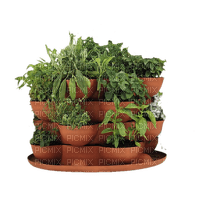 plant pot paintinglounge - безплатен png