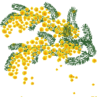 Цветок - Bezmaksas animēts GIF