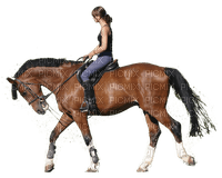 häst-flicka-rider-----horse-girl-riding - zadarmo png