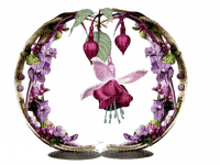 Cercle fleuri - PNG gratuit