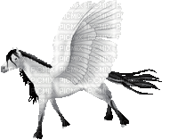Pegasus - Бесплатный анимированный гифка