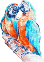 soave deco summer bird branch tropical parrot - 免费PNG