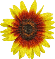 Sunflowers 4 - kostenlos png