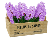 Fleurs - besplatni png