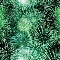 fireworks feuerwerk feu d'artifice  new year silvester    la veille du nouvel an Noche Vieja канун Нового года  fond background green - PNG gratuit