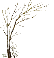 Árbol en invierno - GIF animado grátis