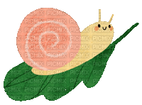 Happy Snail - Δωρεάν κινούμενο GIF
