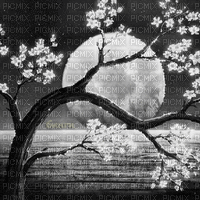 Y.A.M._Japan landscape background black-white - Безплатен анимиран GIF