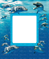 dolphins bp - Δωρεάν κινούμενο GIF
