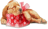 soave dog christmas winter animals deco gift box - PNG gratuit