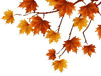 Autumn leaves border  gif automne feuilles bordure - GIF animate gratis