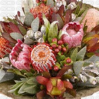 Australian native flowers bp - δωρεάν png