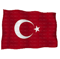 علم تونس شفاف - Gratis animerad GIF