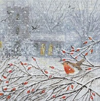 Winter Robin - darmowe png