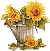 sunflowers Bb2 - bezmaksas png