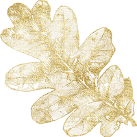 golden leaf Bb2 - ingyenes png
