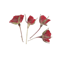 pressed flowers - png gratuito