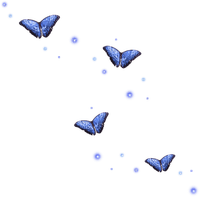 papillon bleu.Cheyenne63 - δωρεάν png