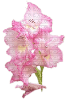 Fleurs rose - png gratuito