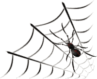 spider web bp - Безплатен анимиран GIF