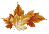 Kaz_Creations Autumn Fall Leaves Leafs - bezmaksas png