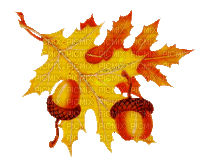 autumn leaves_automne feuille__Blue DREAM 70 - Darmowy animowany GIF