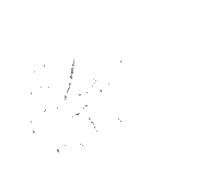 spiderweb gif (created with gimp) - 無料のアニメーション GIF
