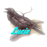 lucie - PNG gratuit