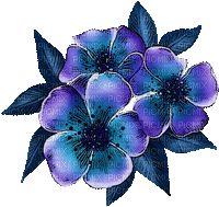 fleur exotique- flowers - GIF animado gratis