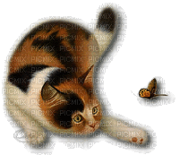 Gato - Nemokamas animacinis gif