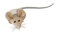 Kaz_Creations Mouse - png gratuito