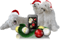 Kaz_Creations Christmas Dog Pup Dogs Colours - bezmaksas png
