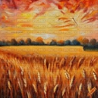 Copper Wheat Field - Free PNG