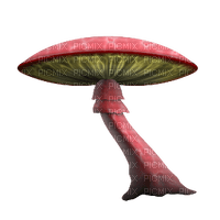 mushroom - png gratis