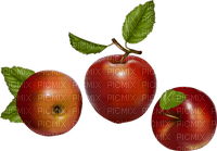 Salomelinda pomme ! - PNG gratuit