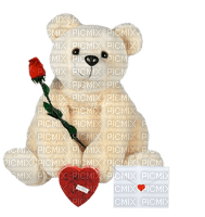 cecily-ours peluche - Free PNG