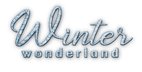 soave text winter wonderland blue - PNG gratuit
