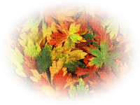 autumn leaves deco automne feuilles - PNG gratuit