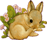 zajaczek - kostenlos png