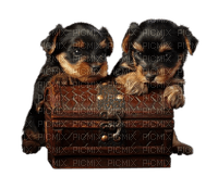 cecily-chiens - PNG gratuit