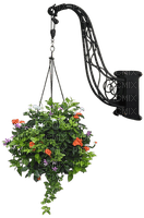 Bloemen en planten - zdarma png