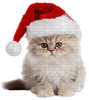 Christmas.Noël.Cat.Chat.Victoriabea - PNG gratuit