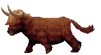 brown bull  by nataliplus - Ilmainen animoitu GIF