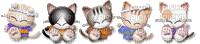 котята - Nemokamas animacinis gif